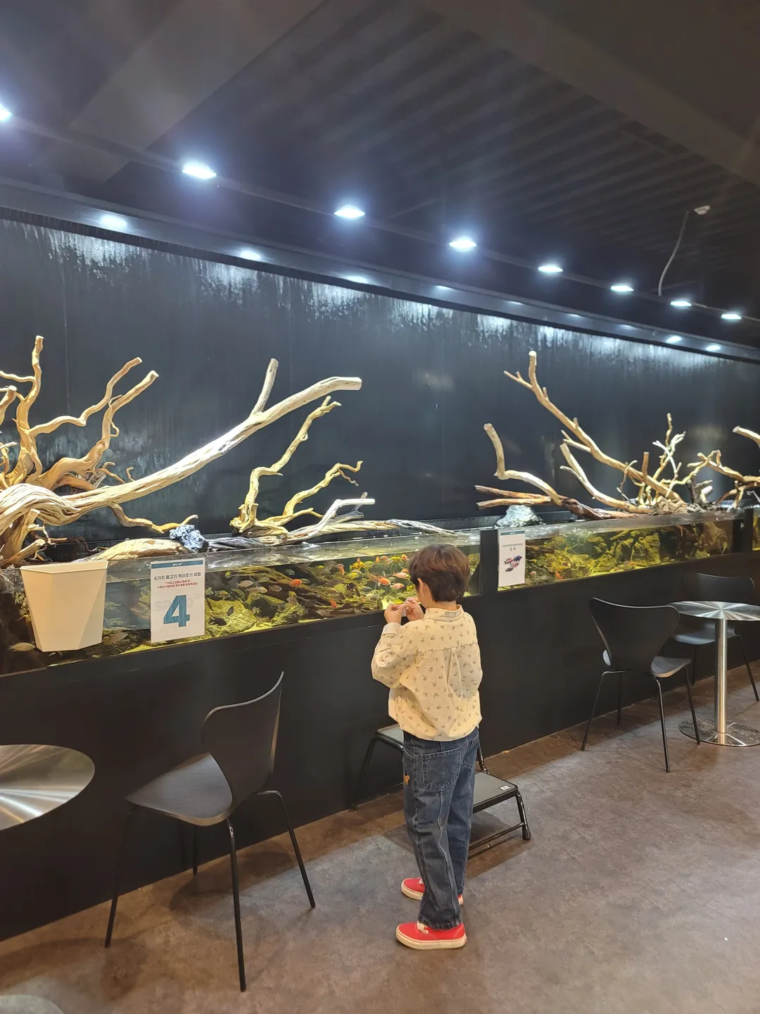 수풀림아쿠아카페&펍 김포점