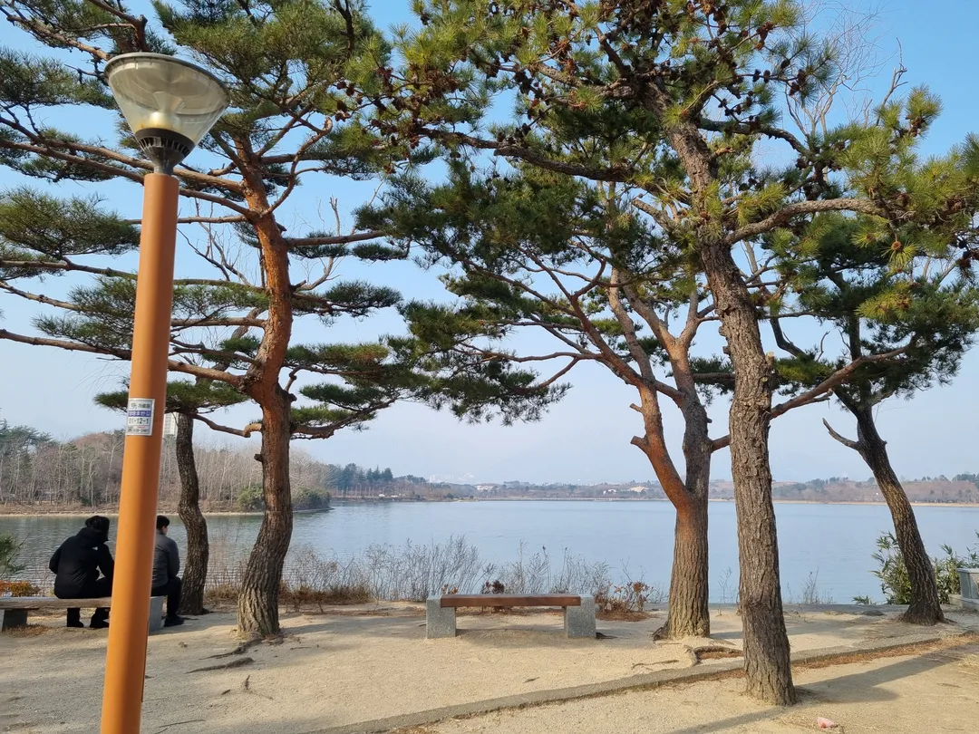 영랑호수공원 사진 12