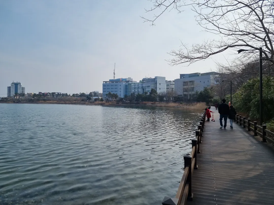 영랑호수공원 사진 11
