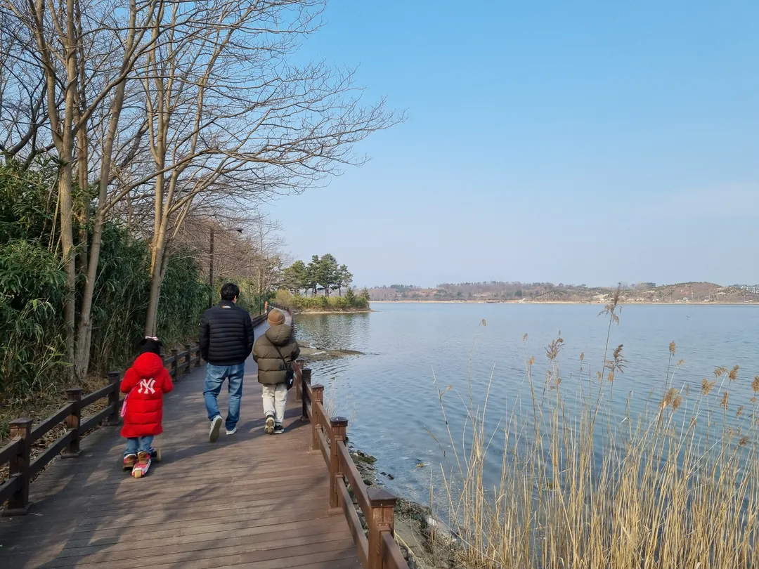 영랑호수공원 사진 9