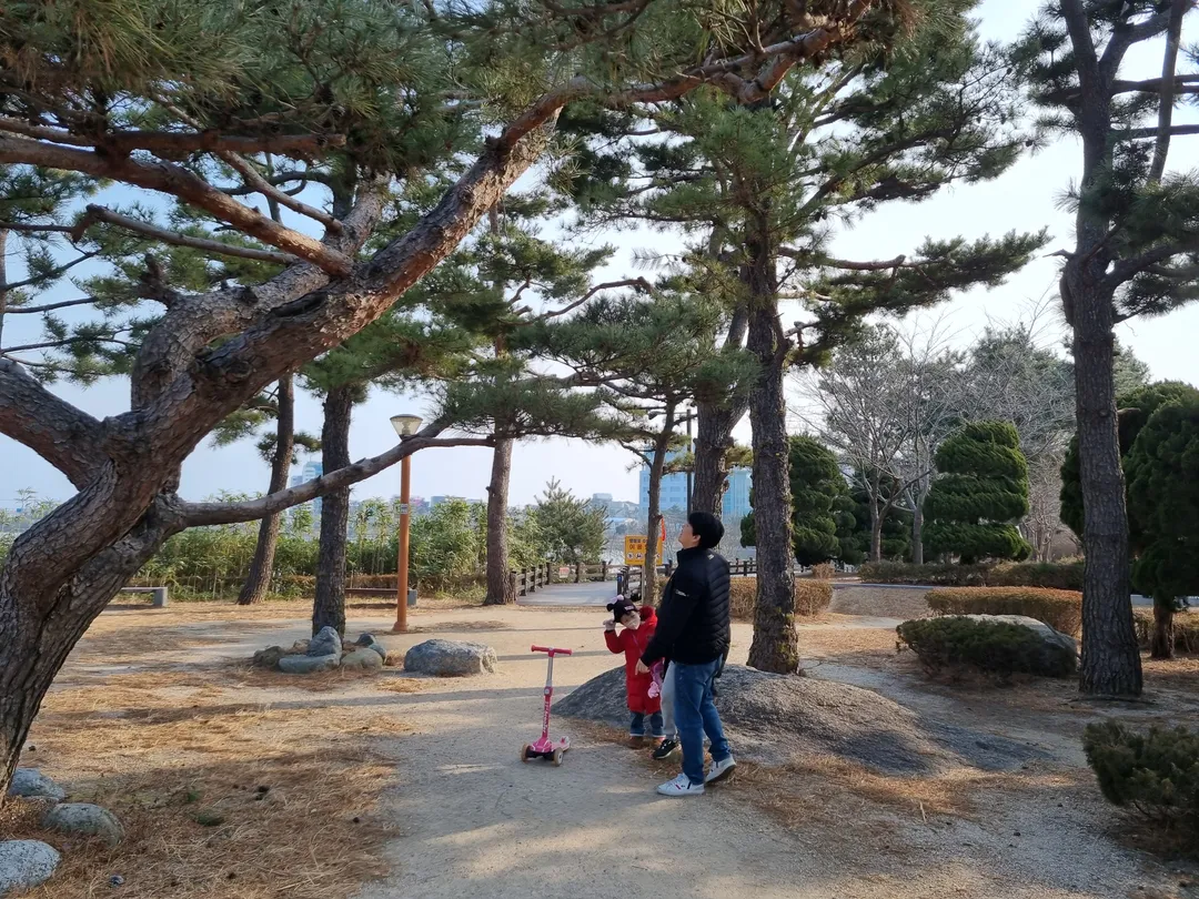 영랑호수공원 사진 13