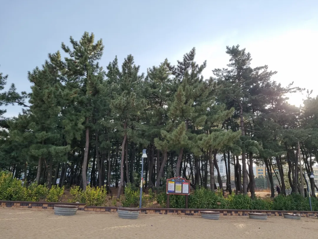 속초사잇길 제5길 속초해변길 사진 10