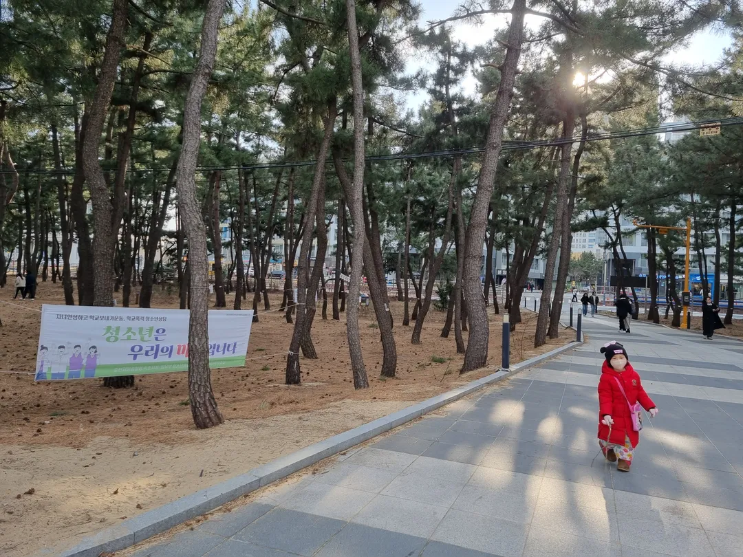 속초사잇길 제5길 속초해변길 사진 8