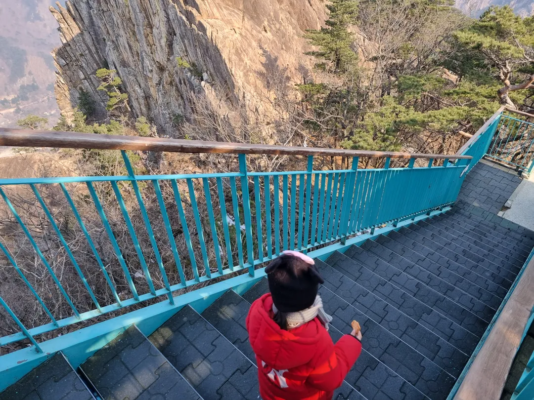 설악케이블카 사진 14