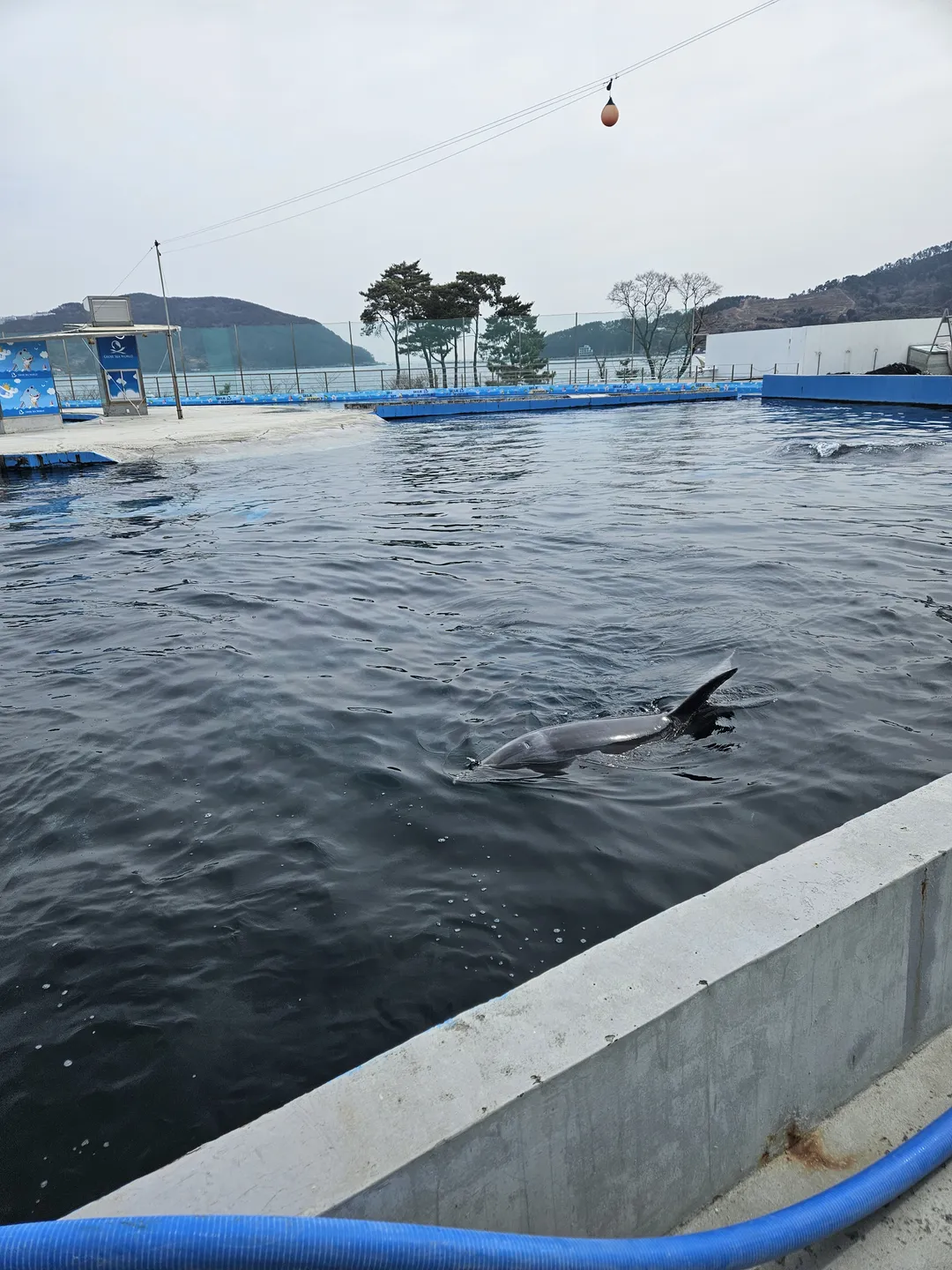 거제씨월드