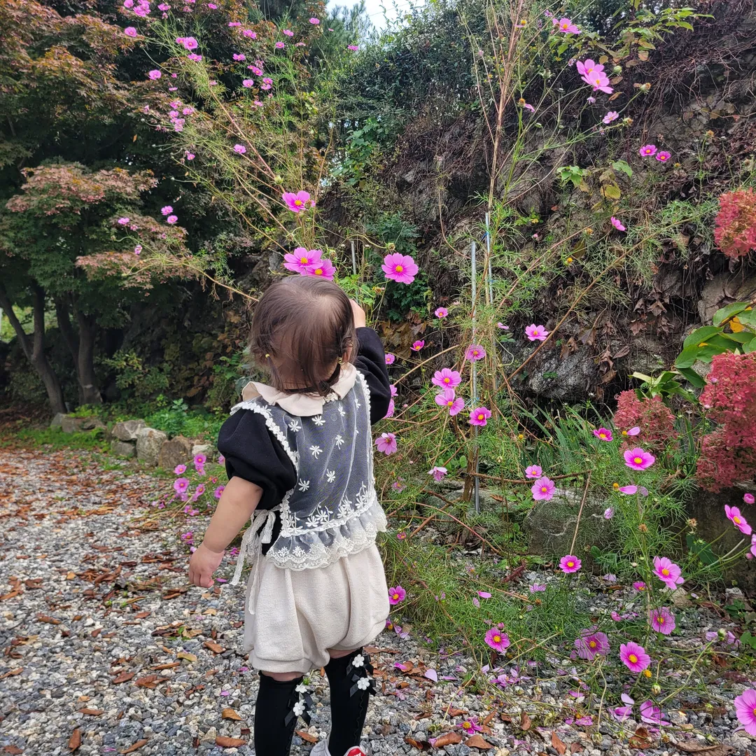 ウンファビョルチェ 写真 10