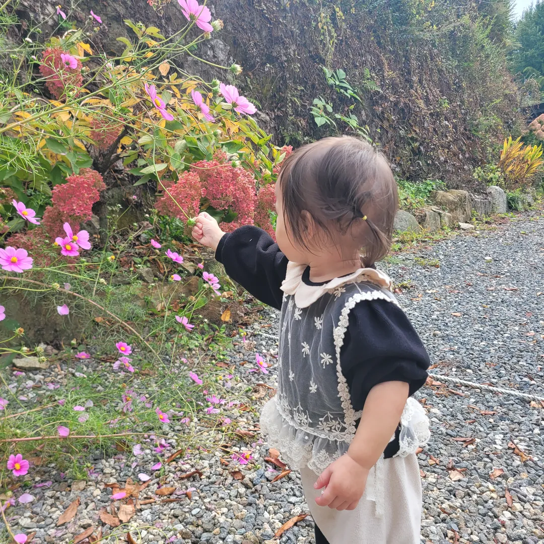 ウンファビョルチェ 写真 9
