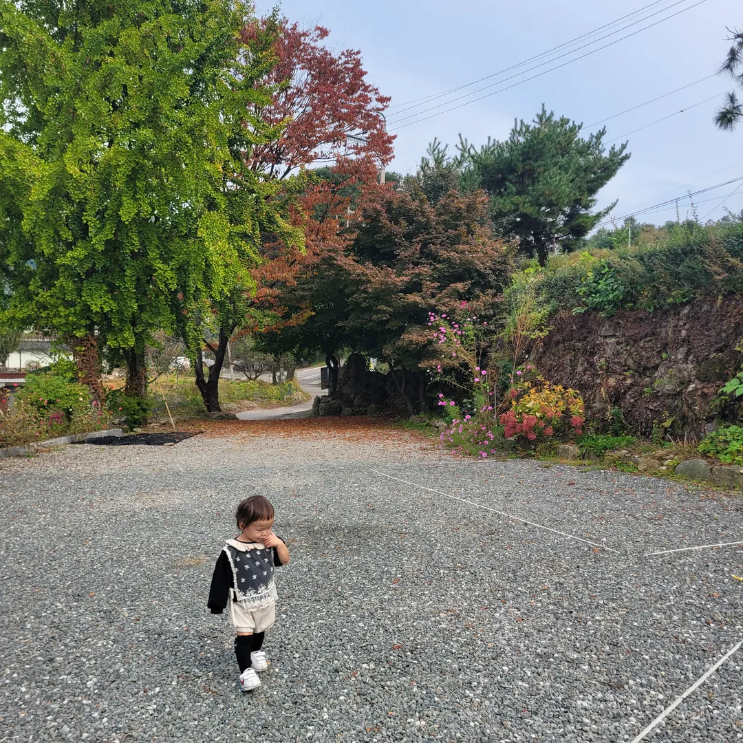 ウンファビョルチェ 写真 17