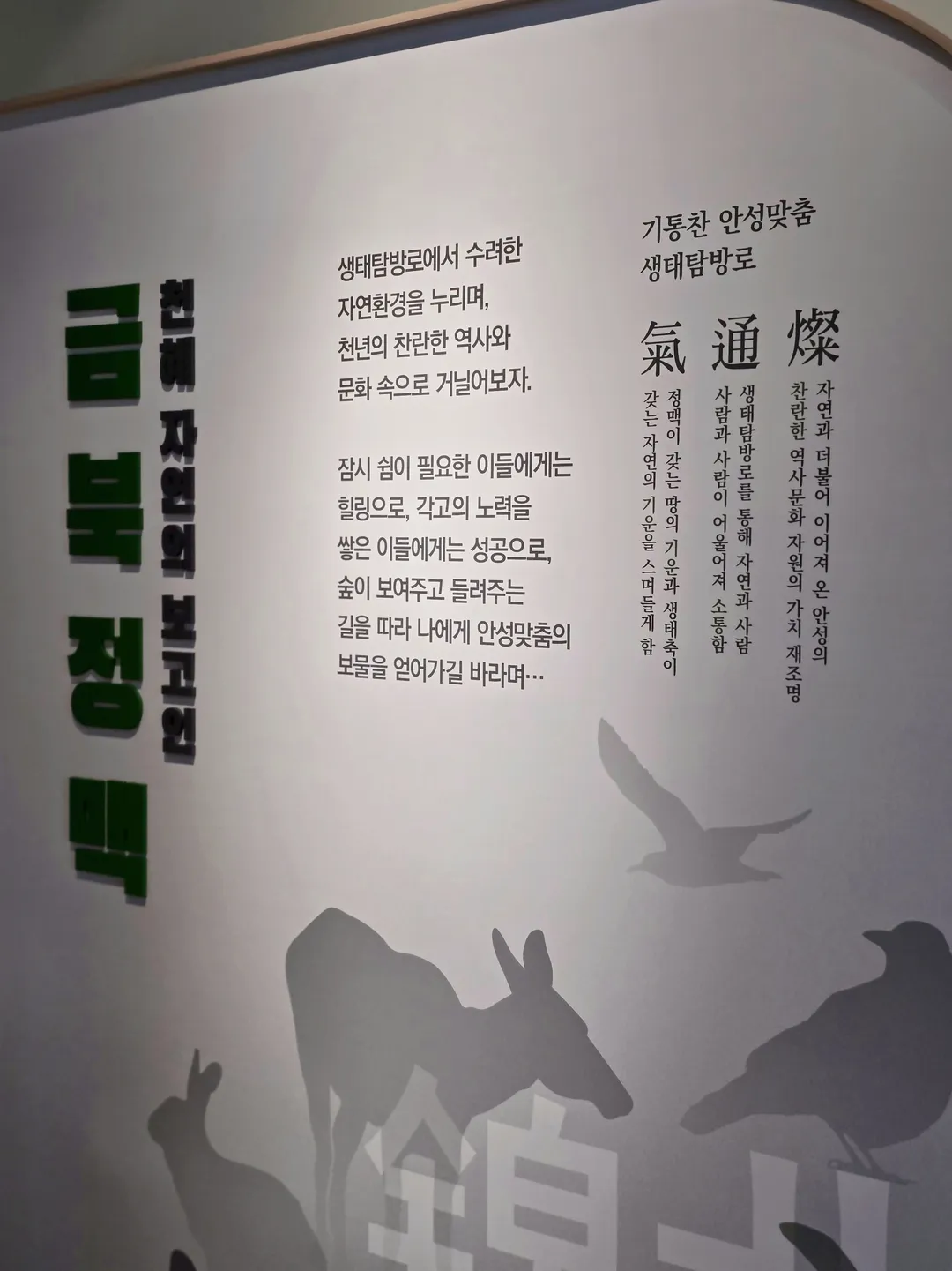 안성시 금북정맥 탐방안내소 사진 24
