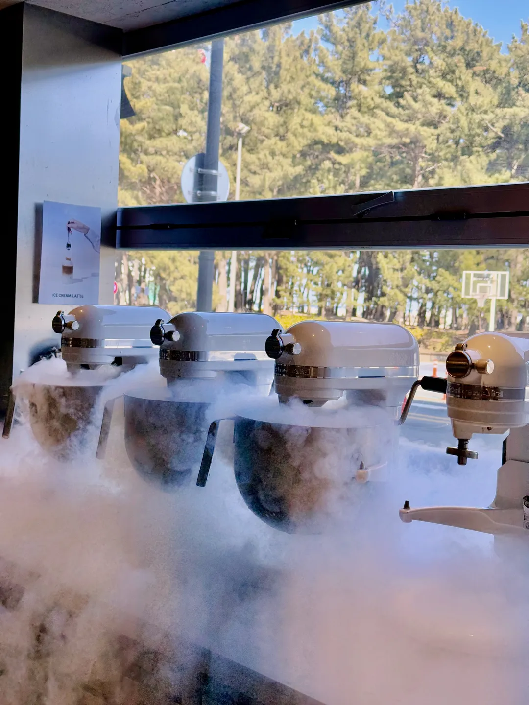브알라 cafe 속초