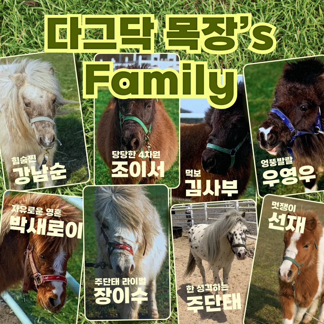 Jeju Ecoland Theme Park photo 21