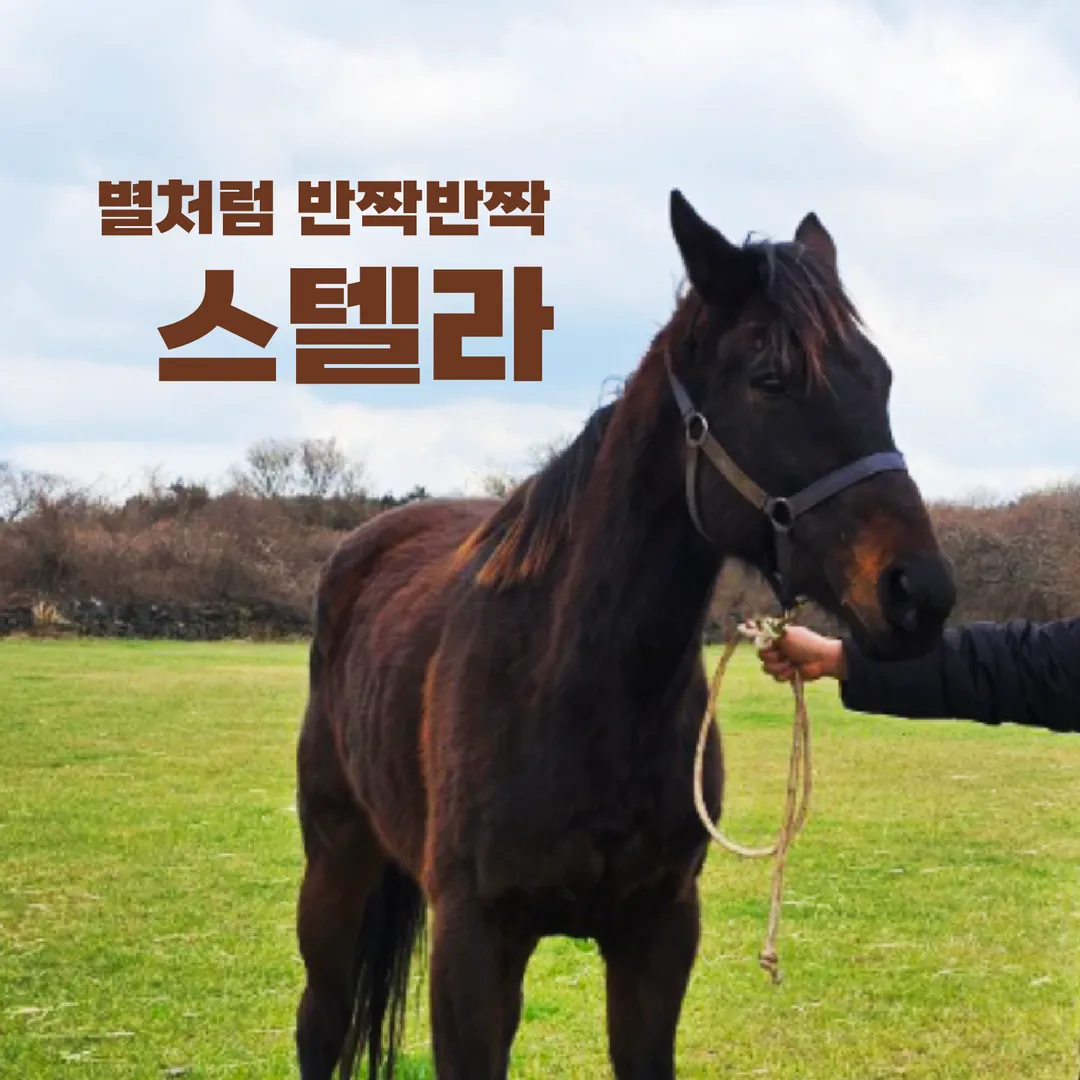 Jeju Ecoland Theme Park photo 20