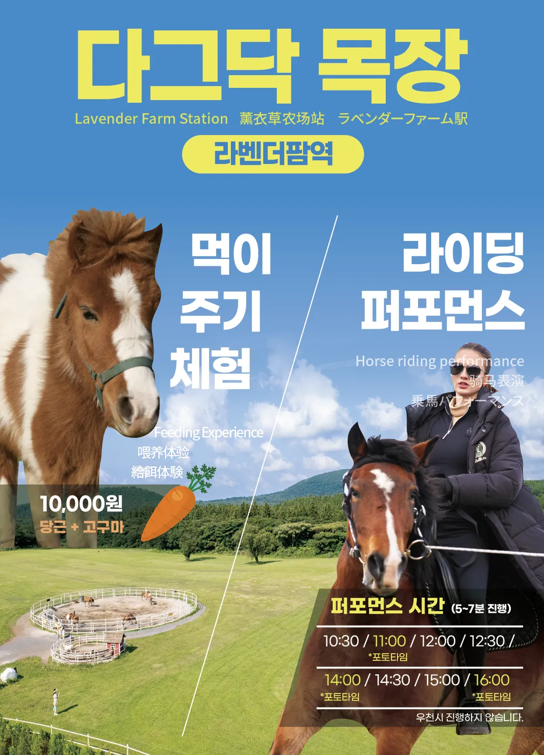 제주 에코랜드 테마파크 사진 24