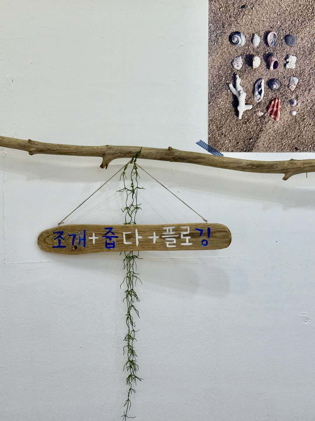 조개줍깅 사진 14