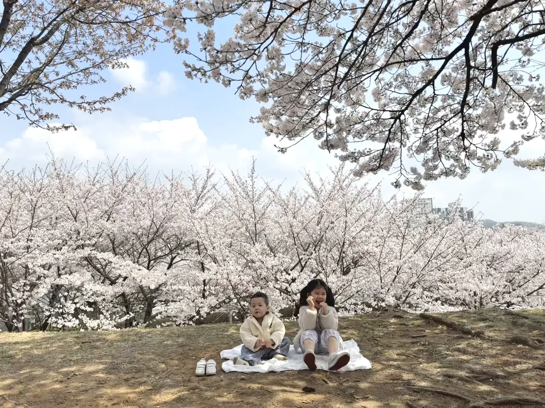 신석체육공원