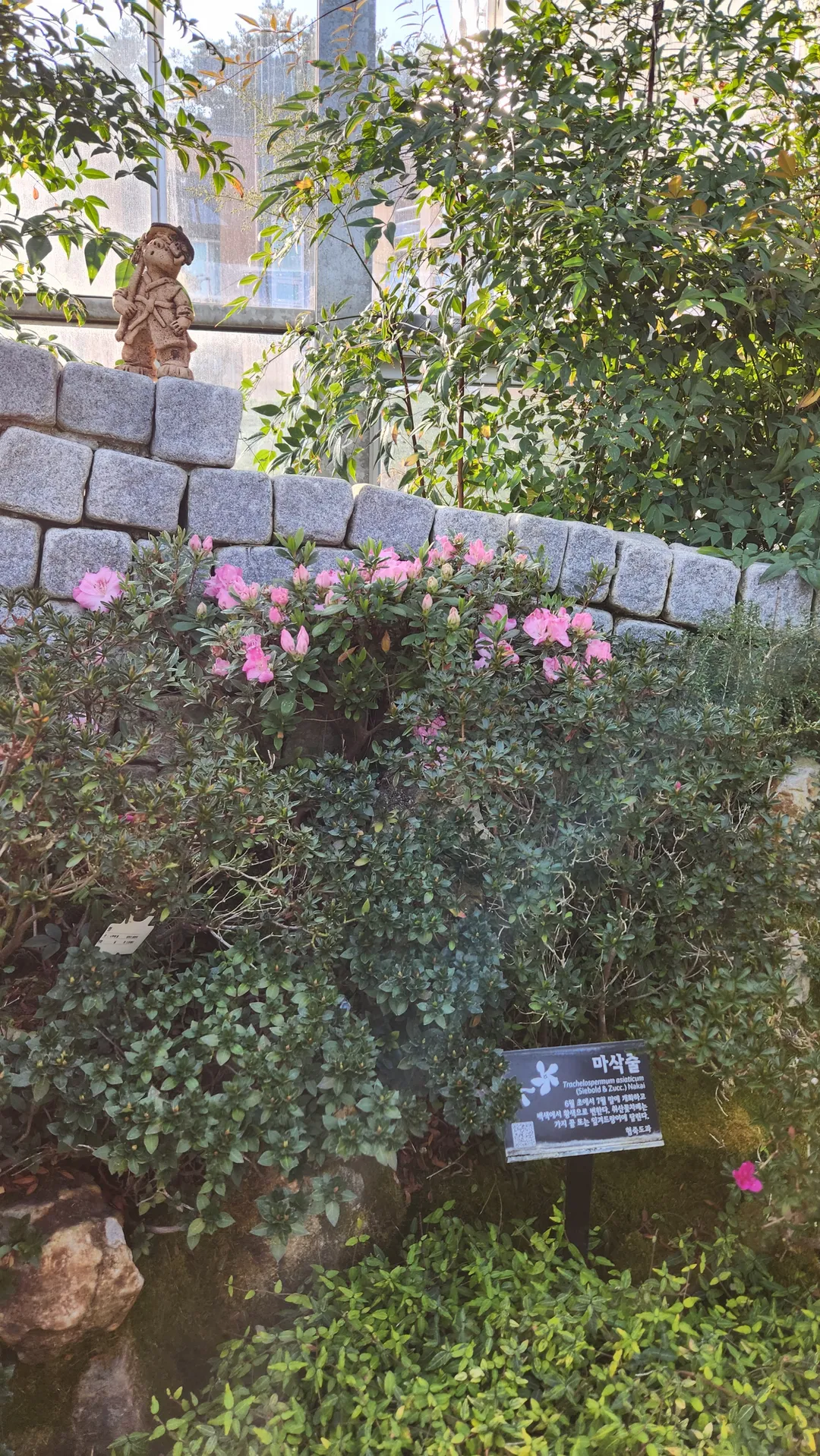 봉수산수목원 사진 10