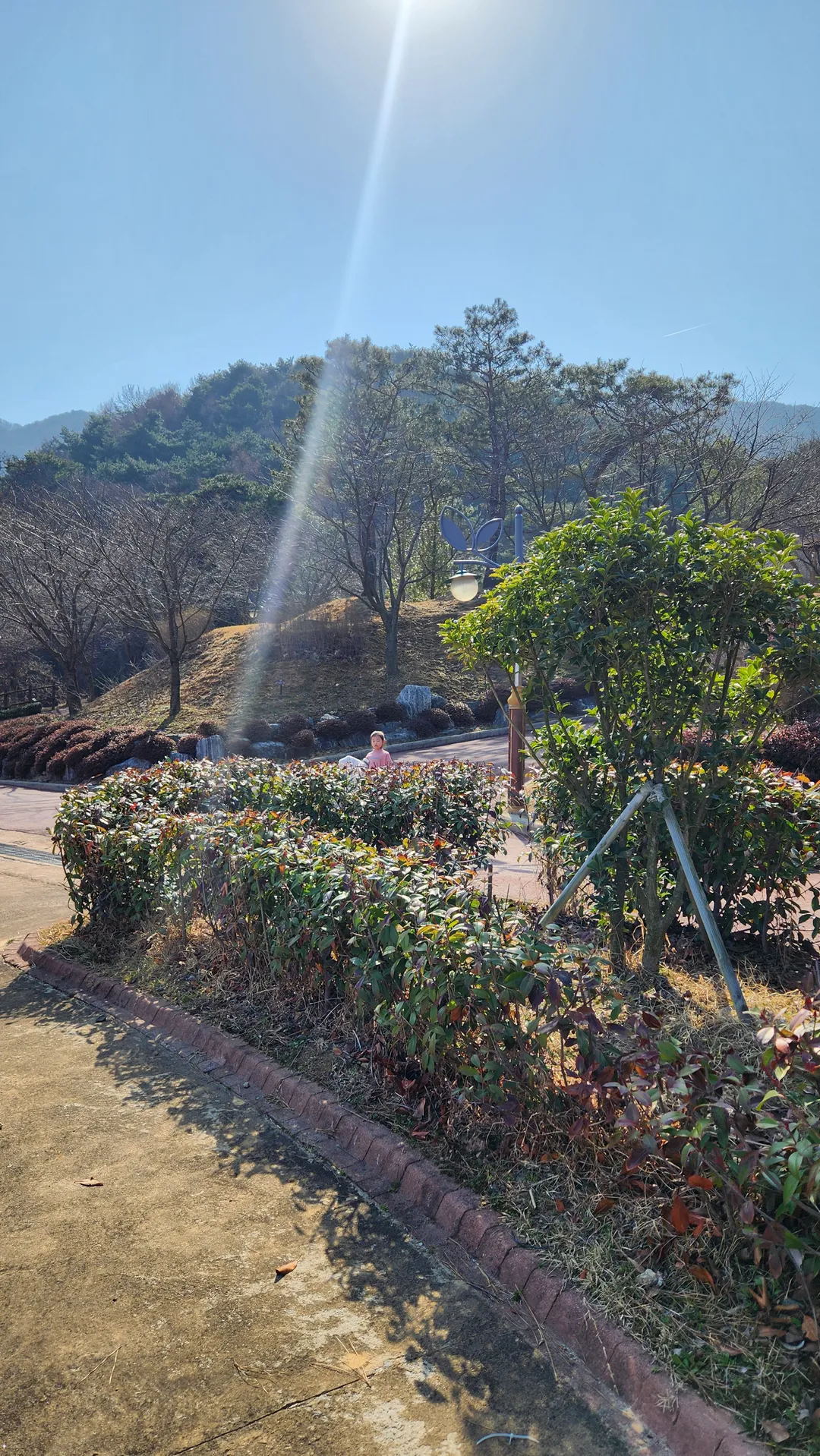 봉수산수목원 사진 14