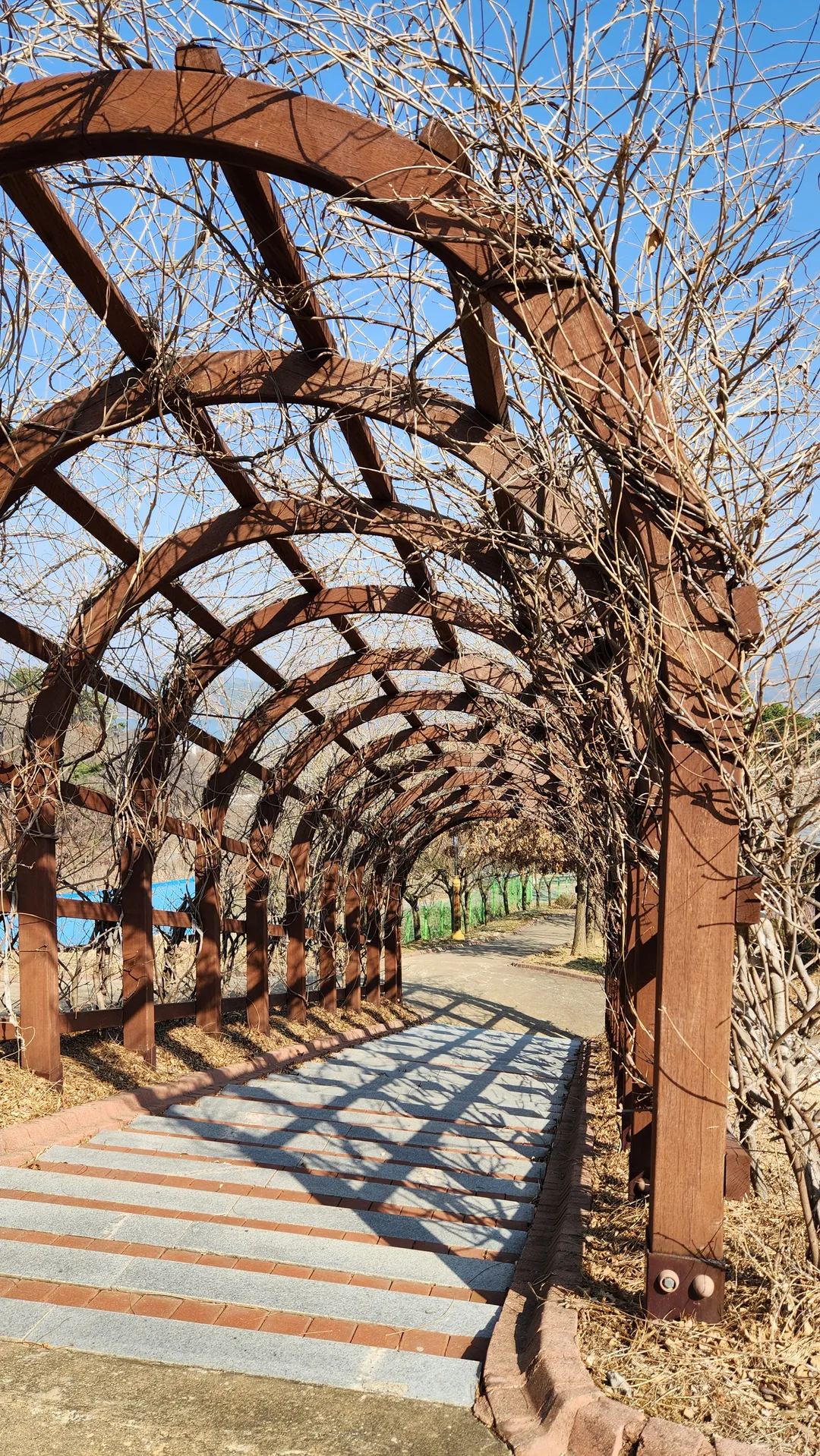 봉수산수목원 사진 15