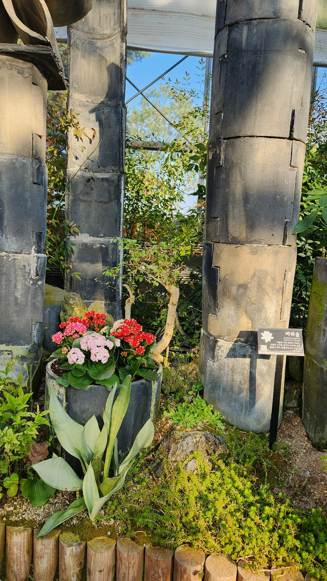 봉수산수목원 사진 9