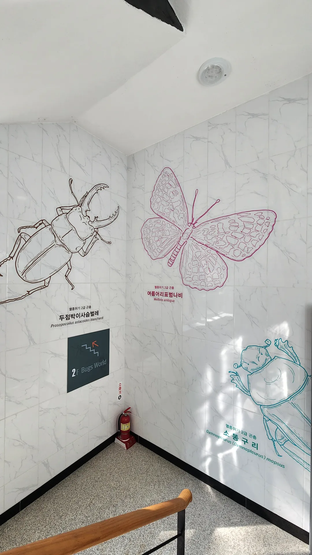 봉수산 곤충생태관 사진 13