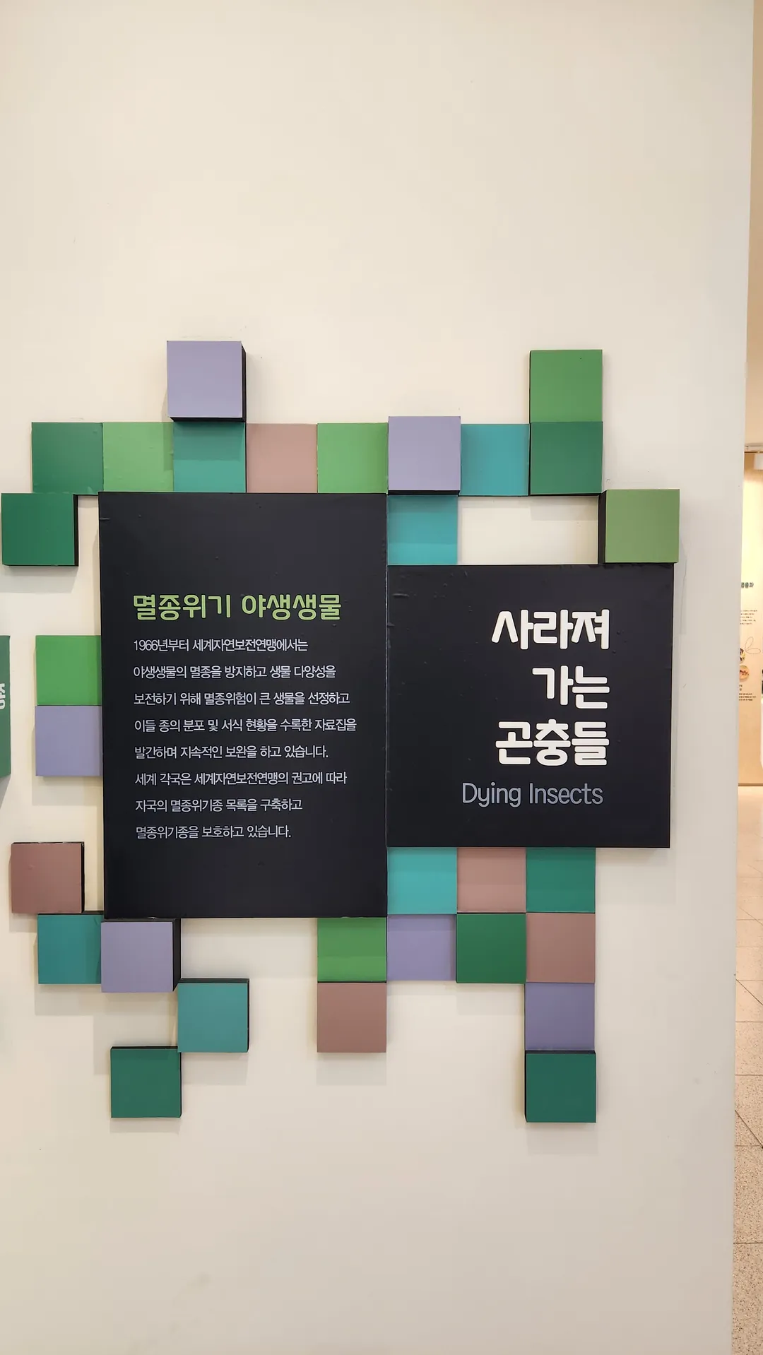 봉수산 곤충생태관 사진 10