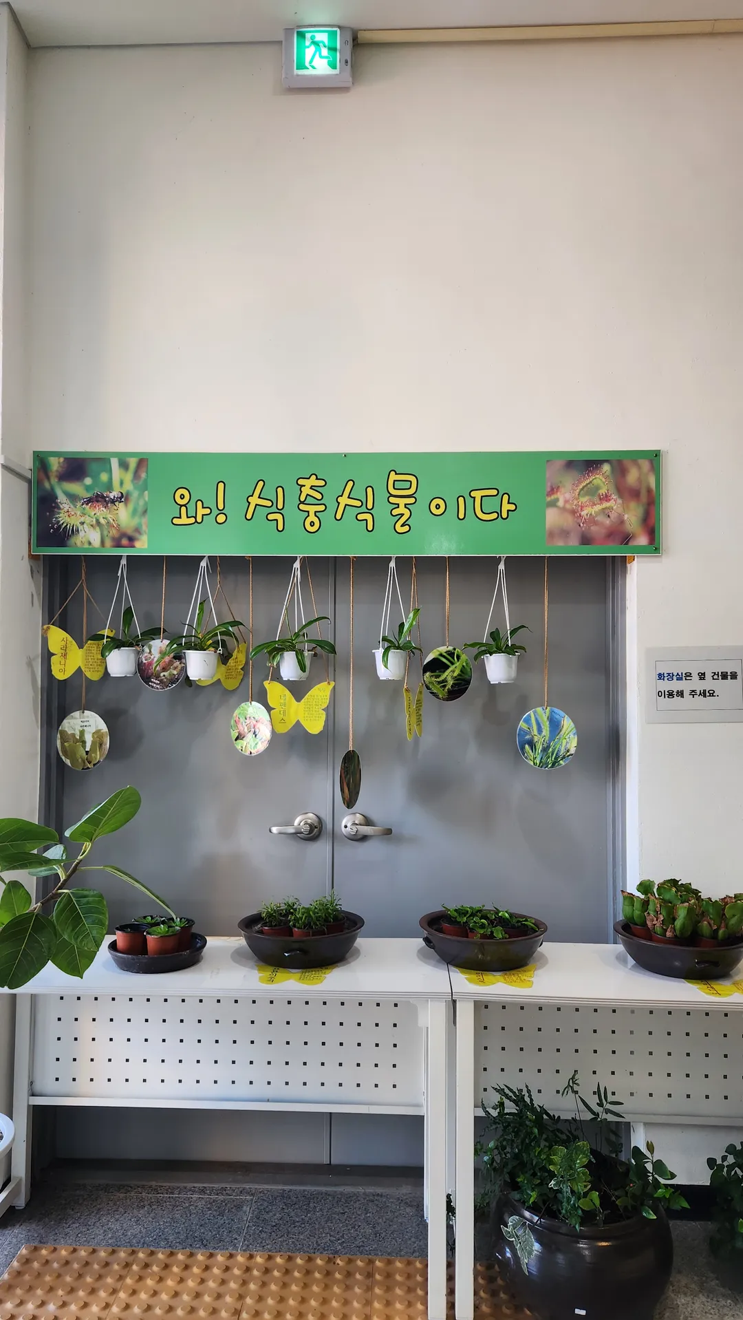 봉수산 곤충생태관 사진 9