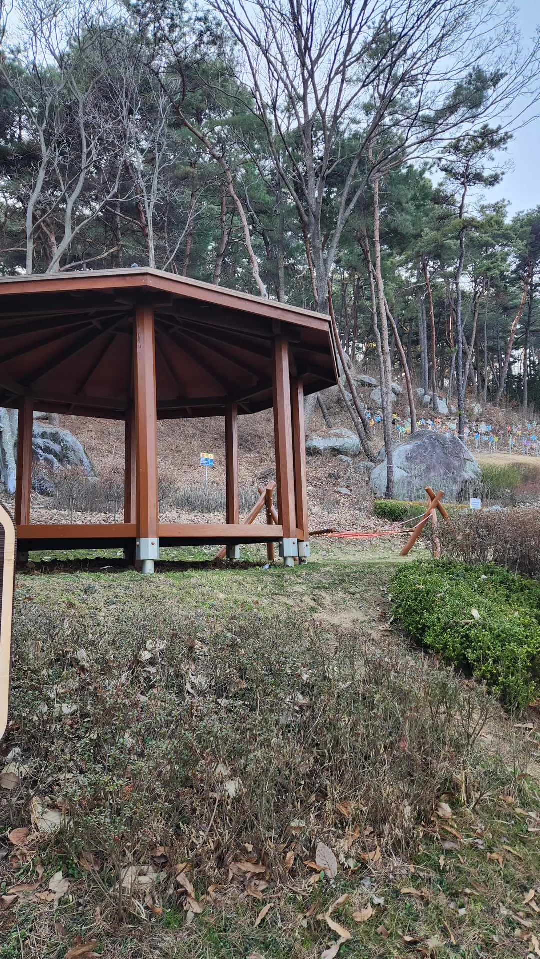 봉수산수목원 유아숲체험원 사진 10