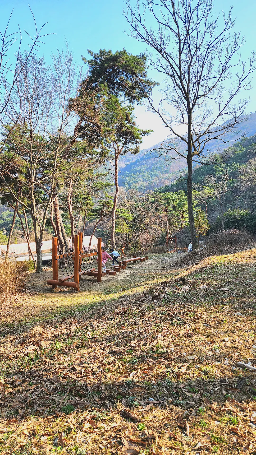 봉수산수목원 유아숲체험원 사진 6