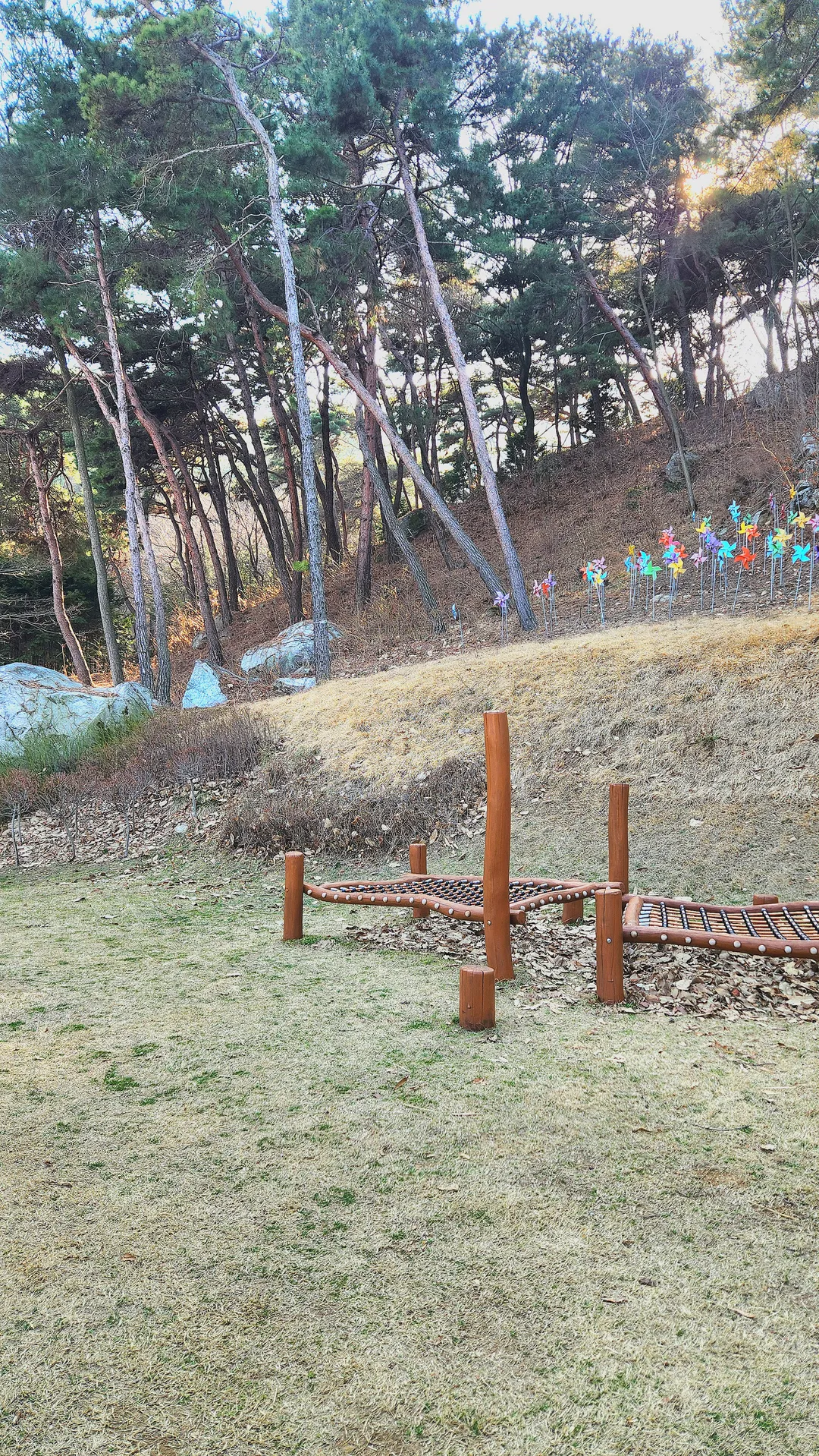 봉수산수목원 유아숲체험원 사진 7