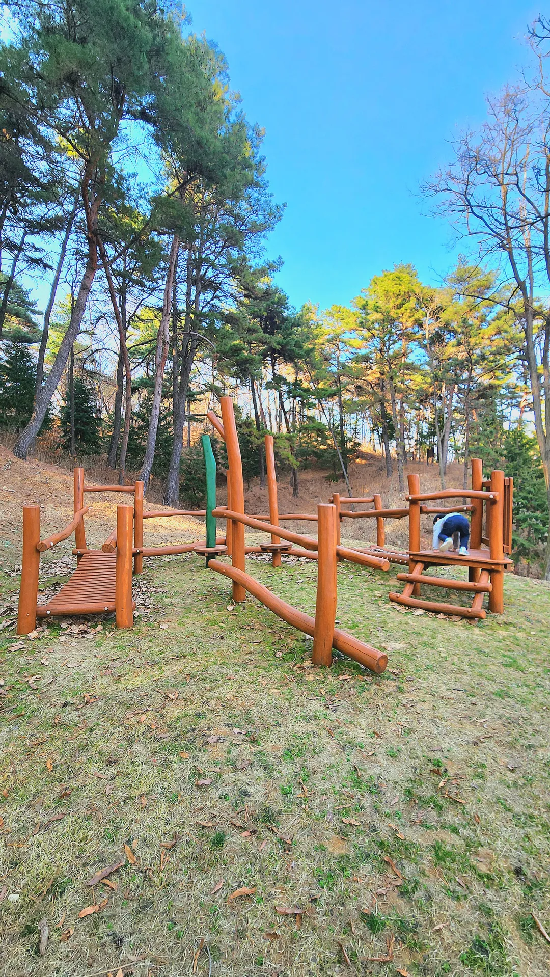 봉수산수목원 유아숲체험원