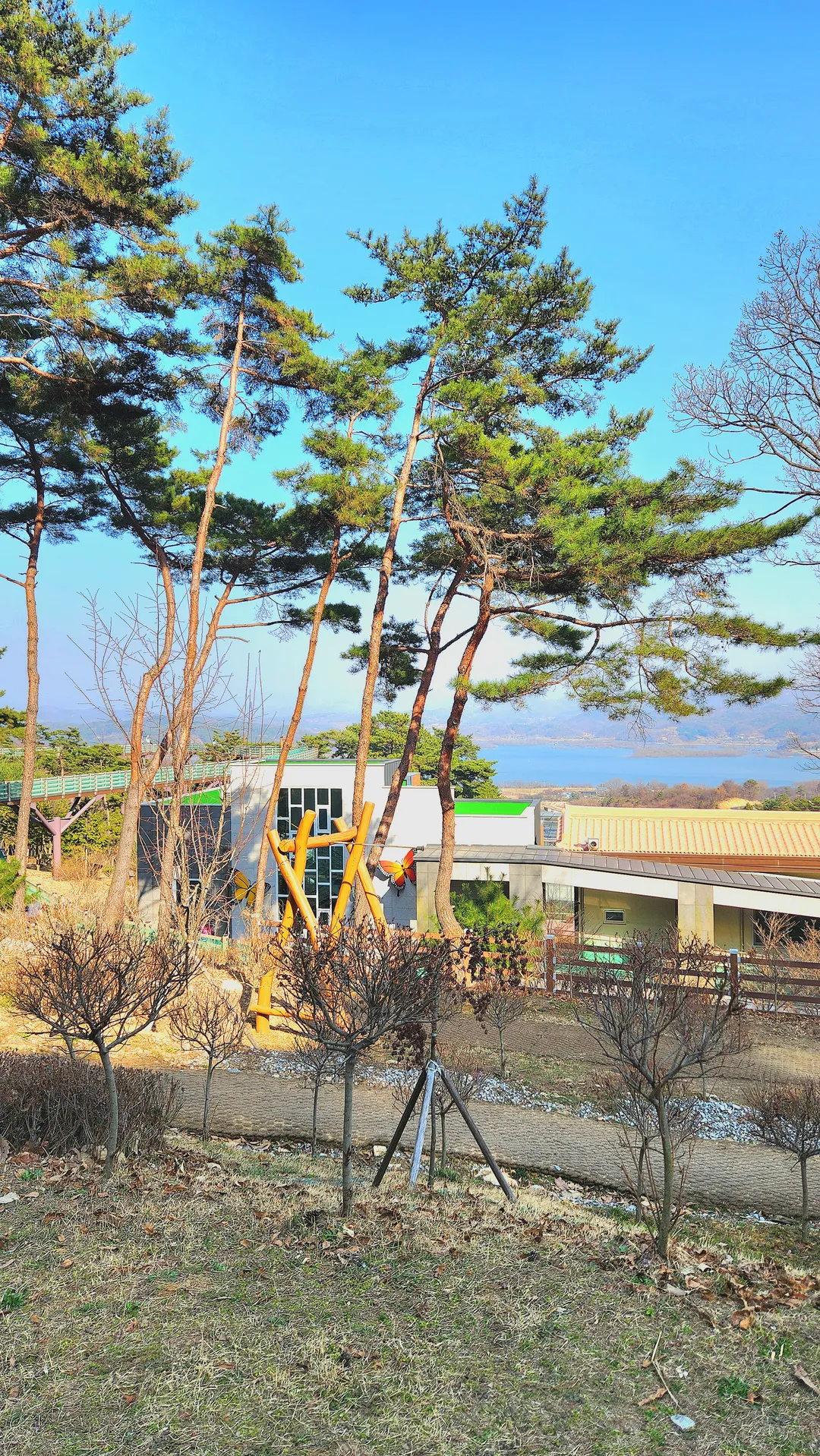 봉수산수목원 유아숲체험원 사진 11