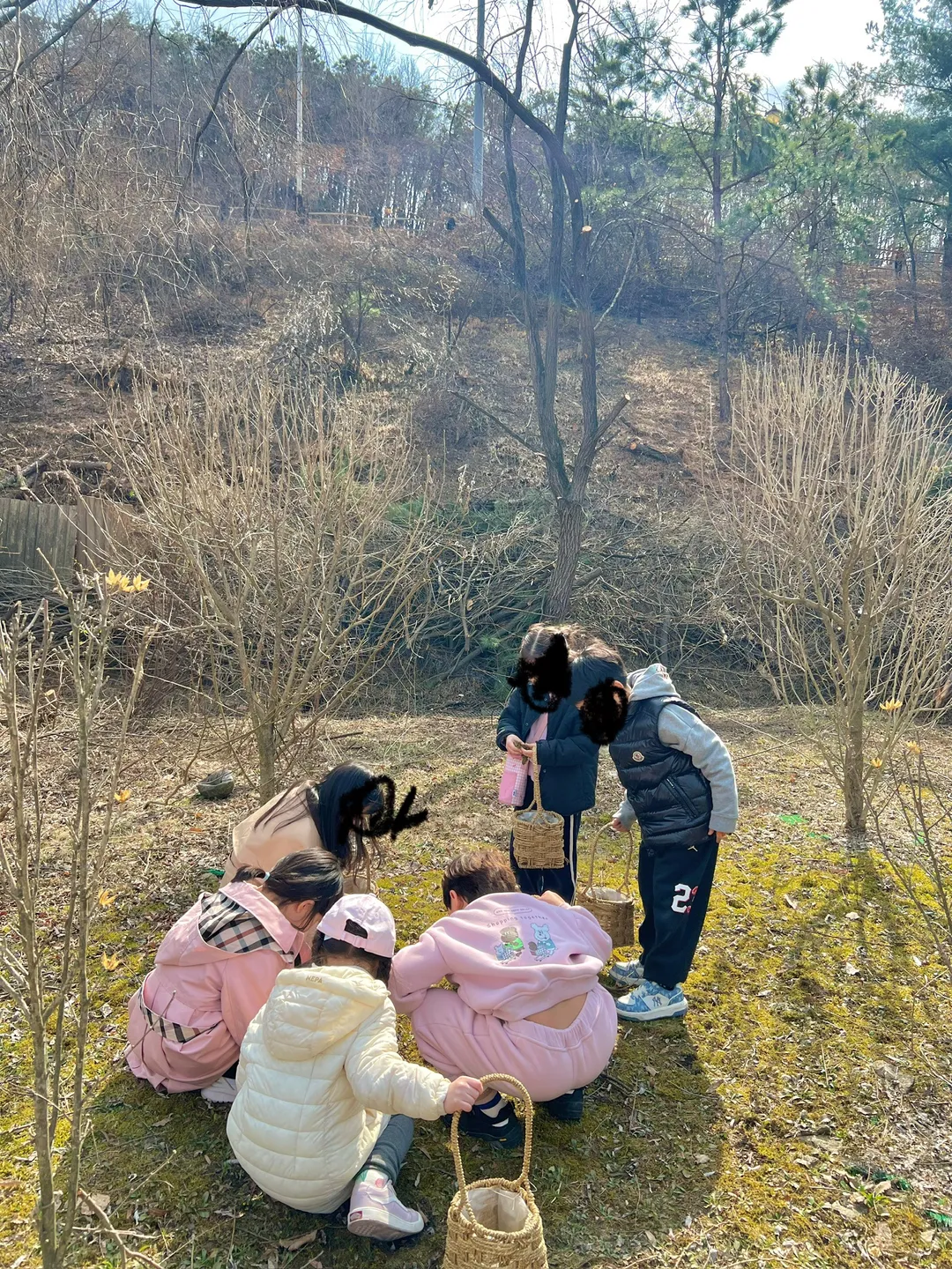 네이처네비게이터 사진 13