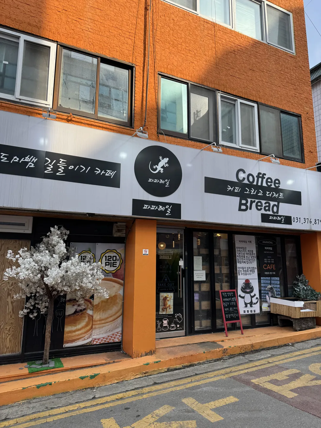 도마뱀카페파파테일 사진 14