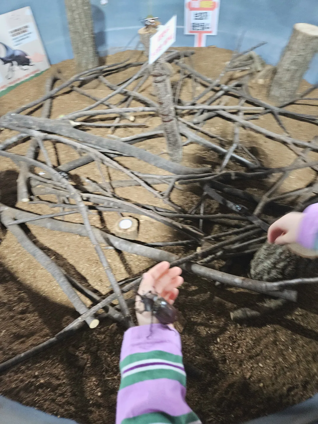 풍이랑 곤충체험농장 사진 8
