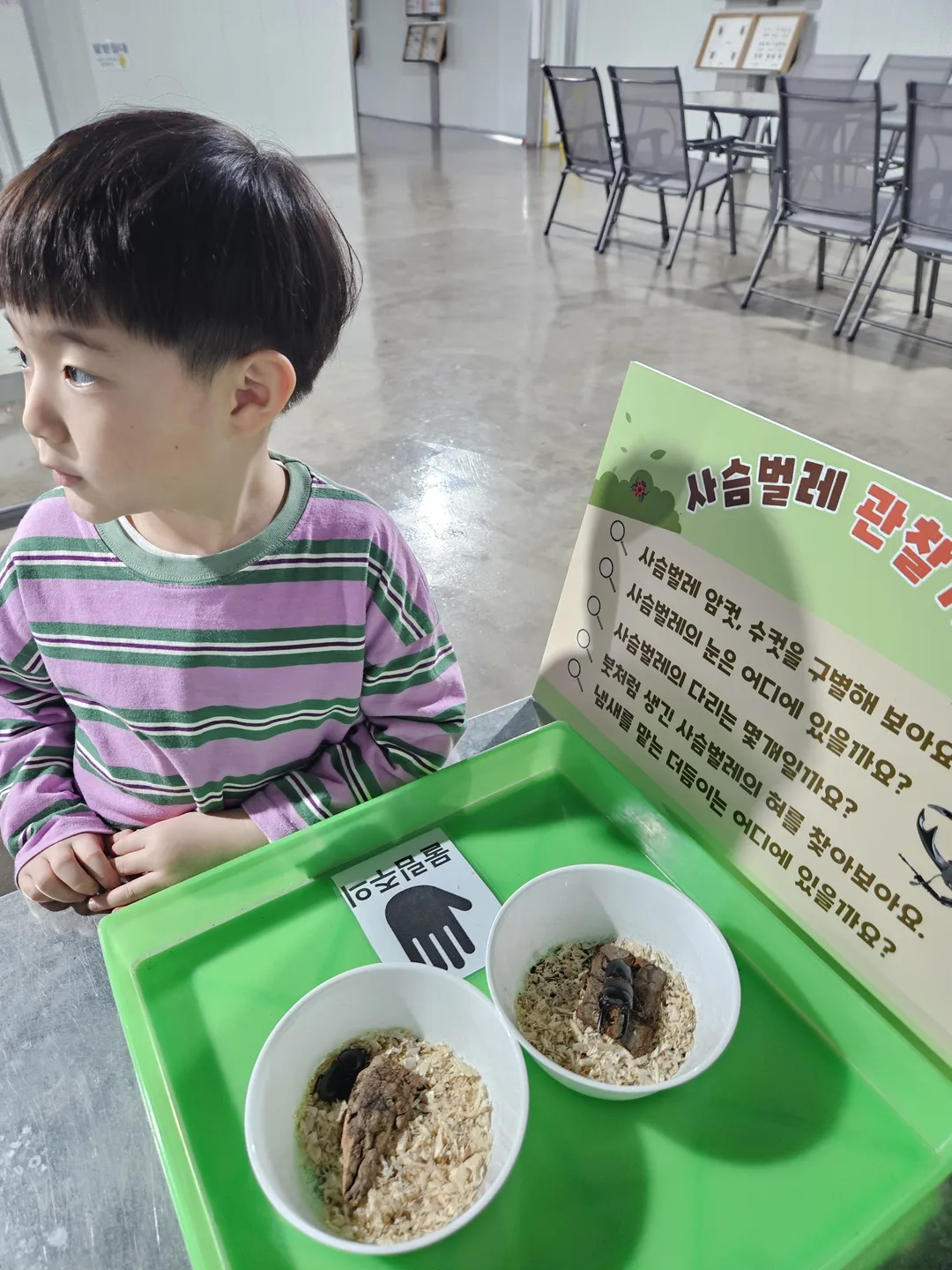 풍이랑 곤충체험농장
