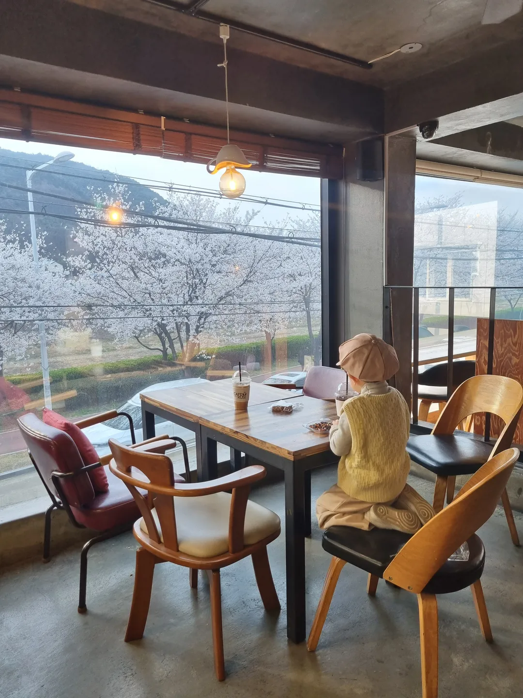 카페쿠시