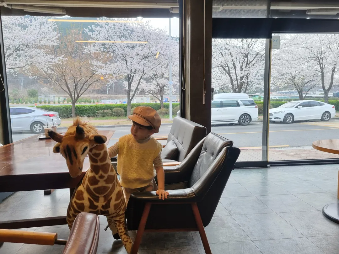 카페쿠시