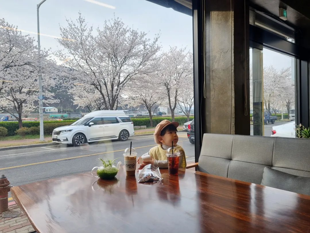 카페쿠시