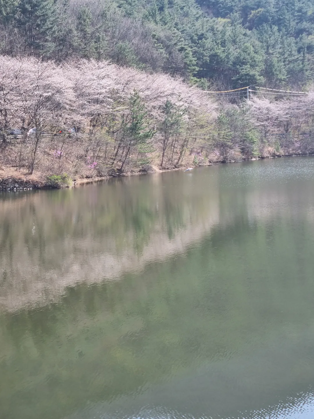 내관지
