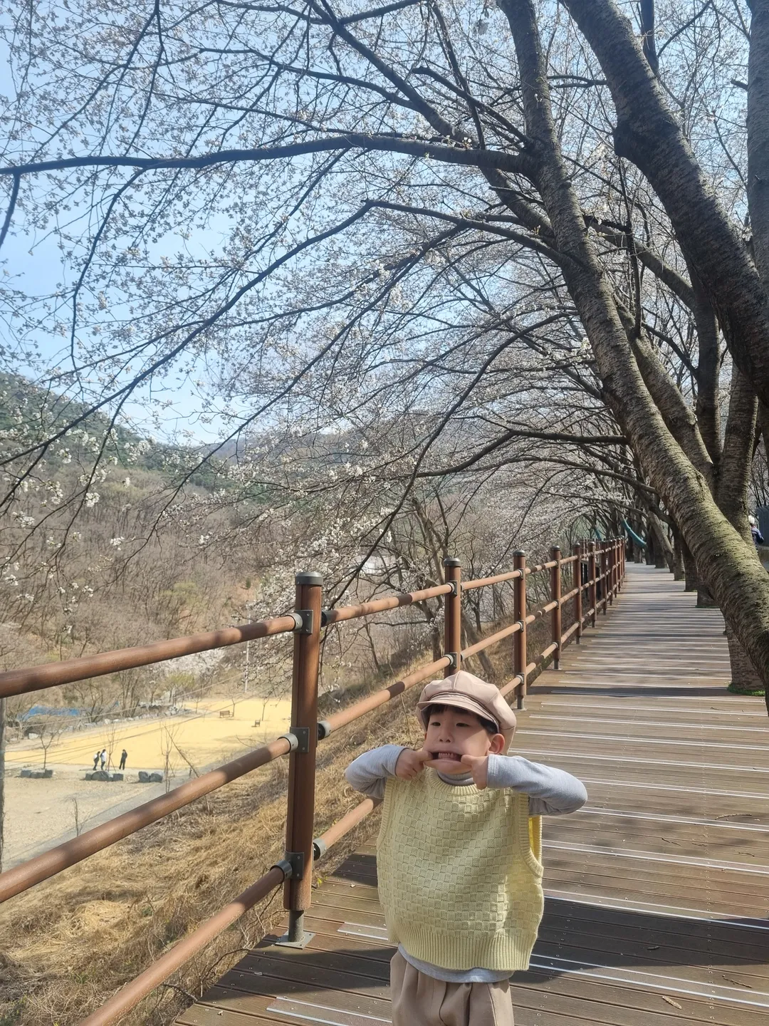 내관지