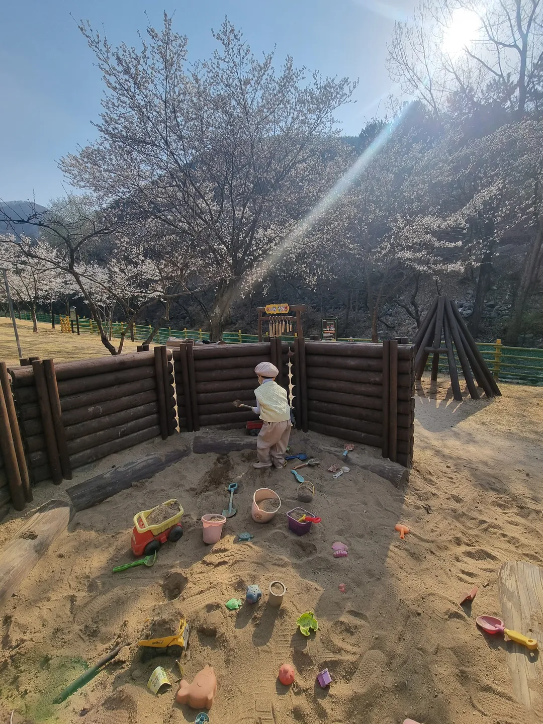 대흥동 유아숲체험원