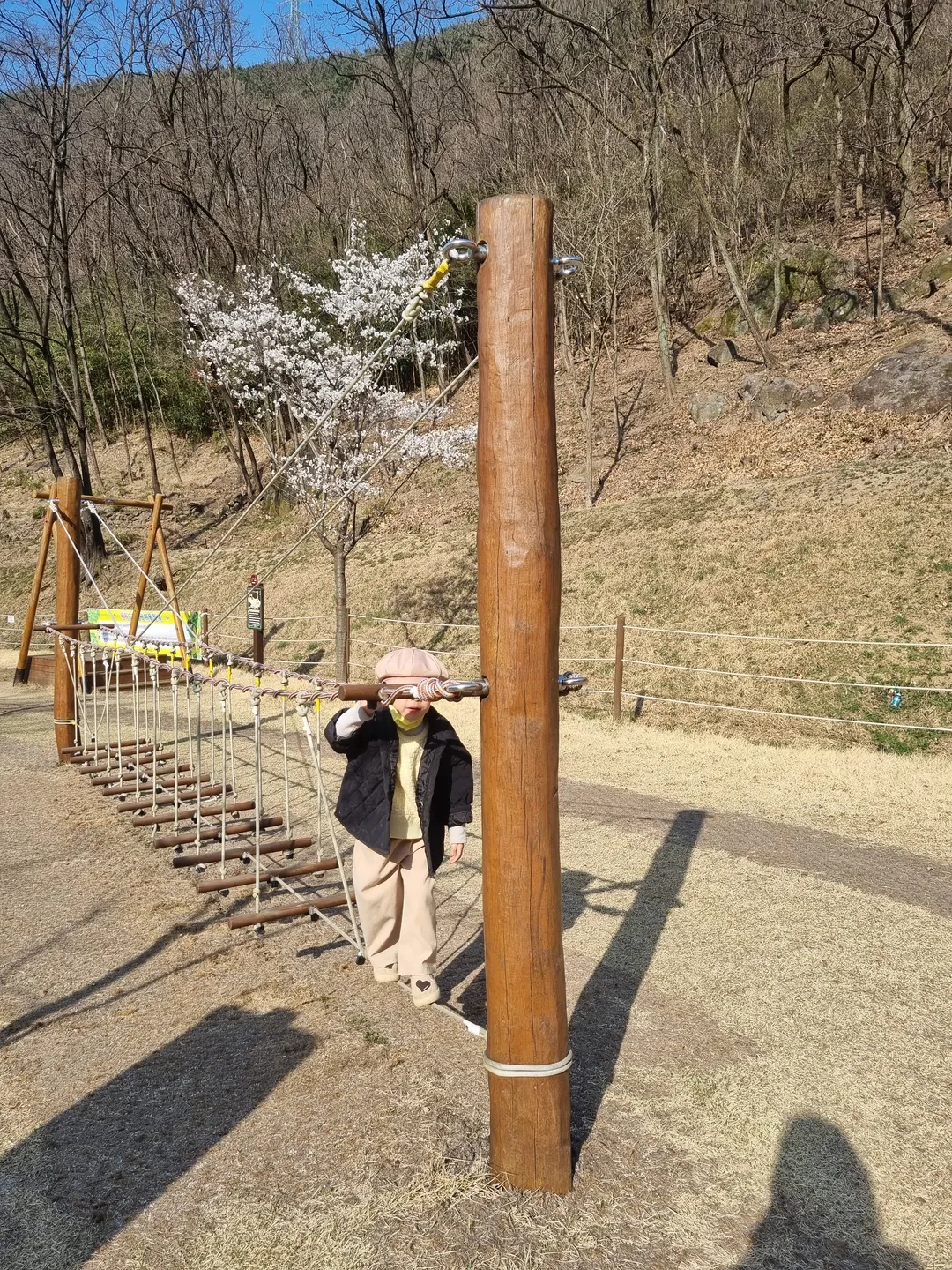 대흥동 유아숲체험원