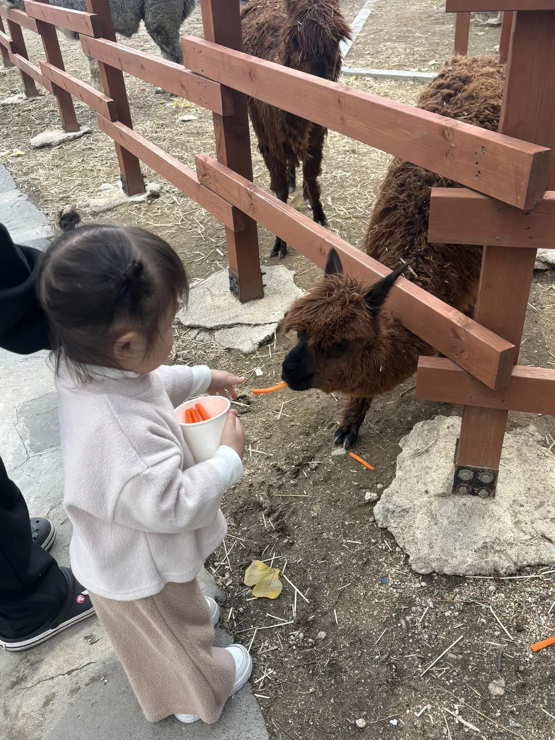 포레스트 카페