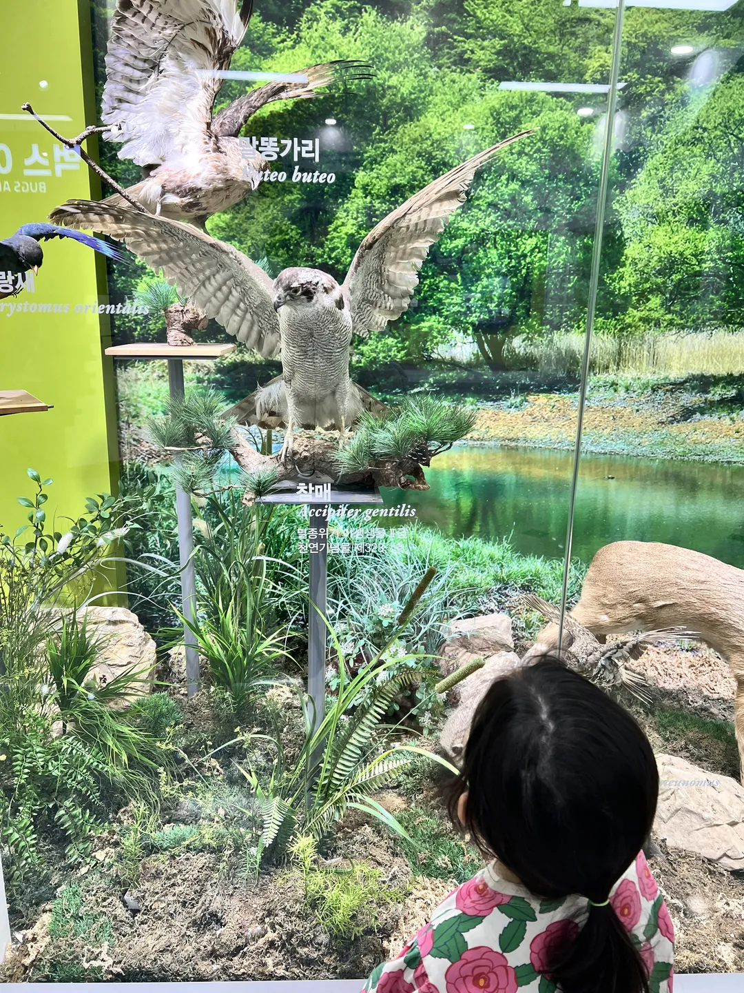 문경자연생태박물관