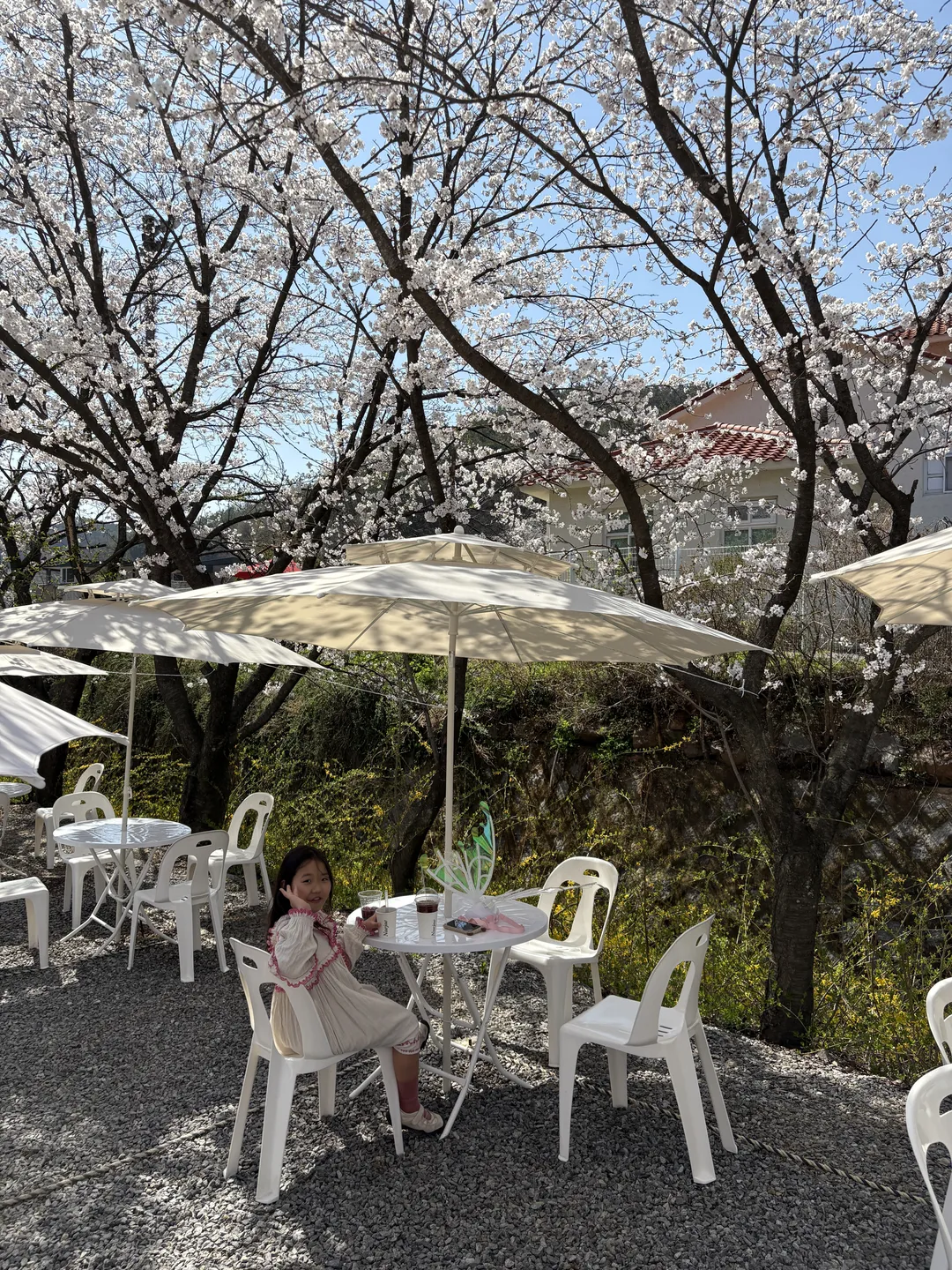 ネジェ 写真 8