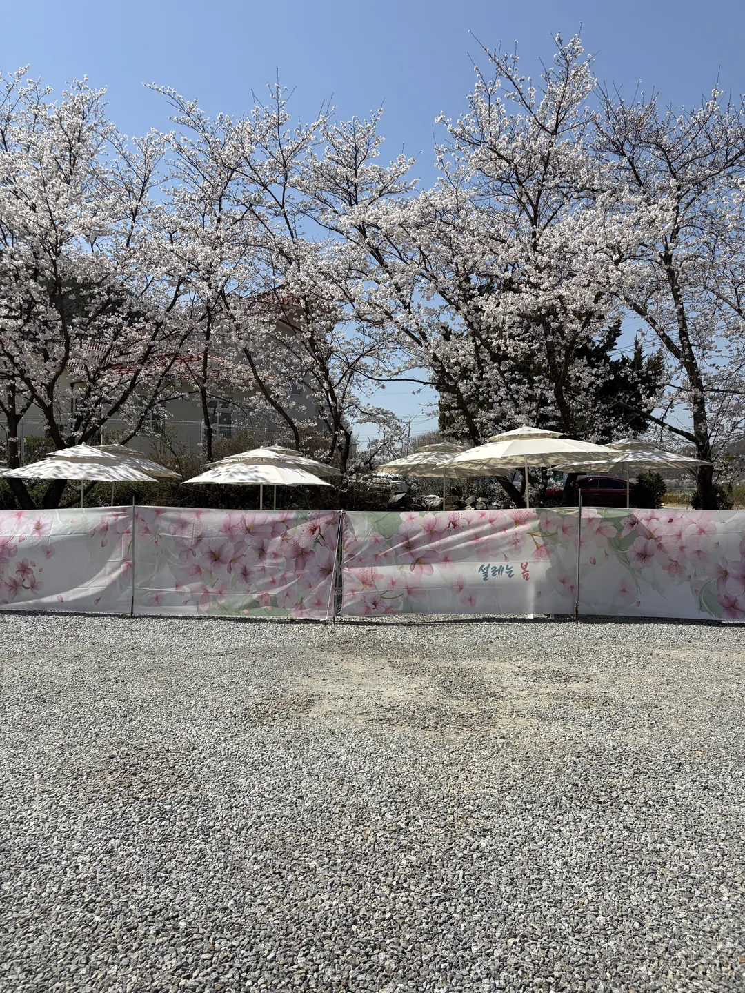 ネジェ 写真 9