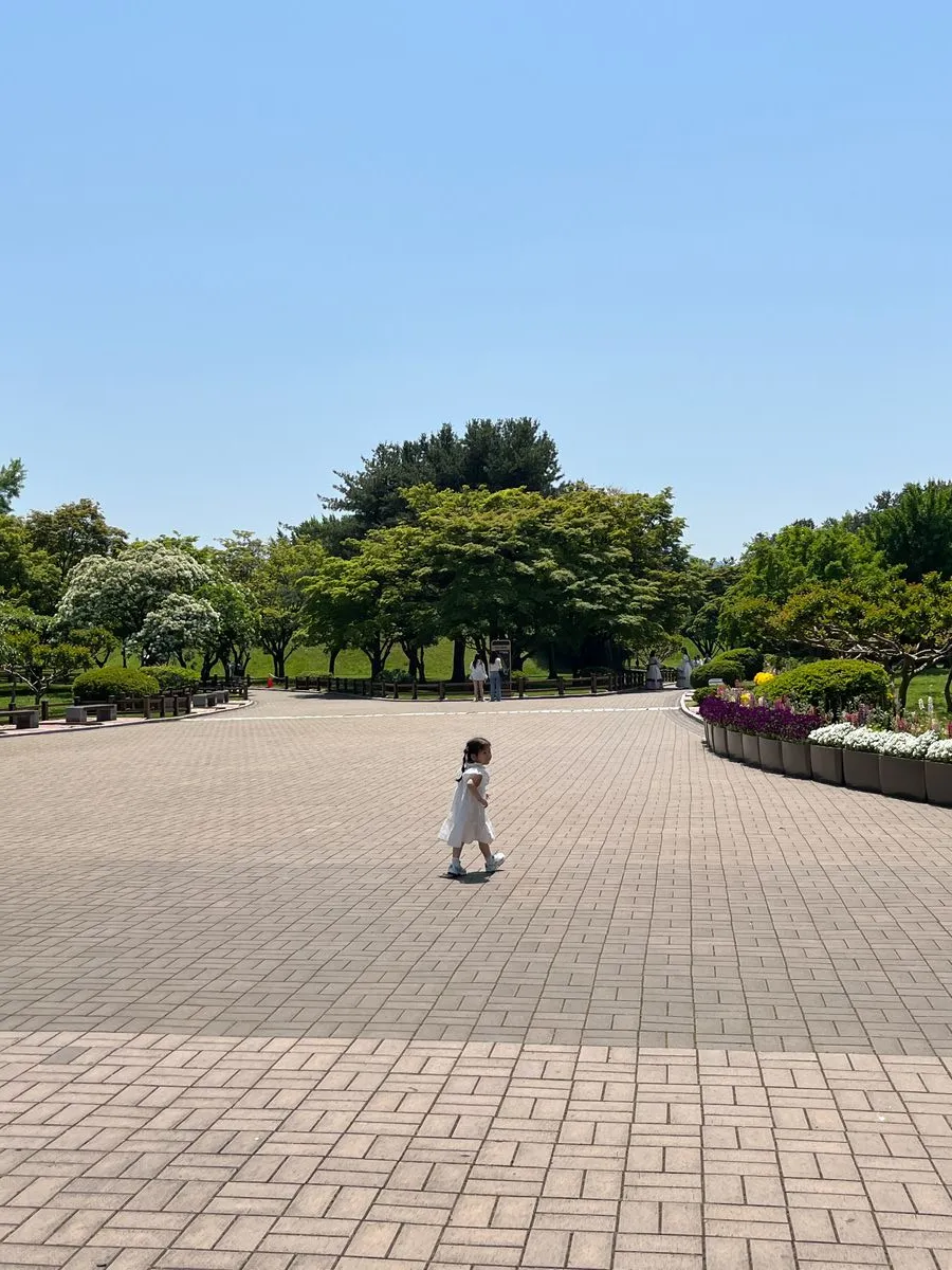 慶州大陵苑 写真 11