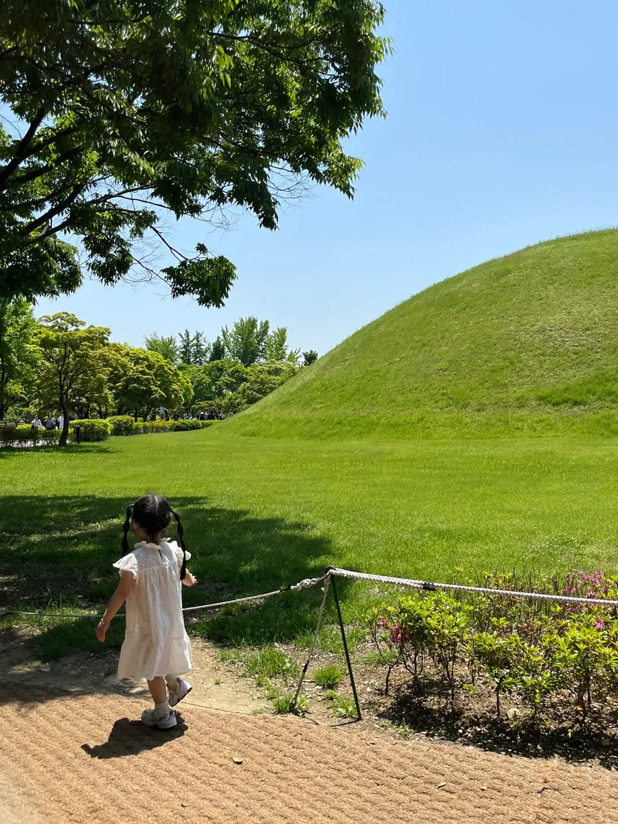 慶州大陵苑 写真 6
