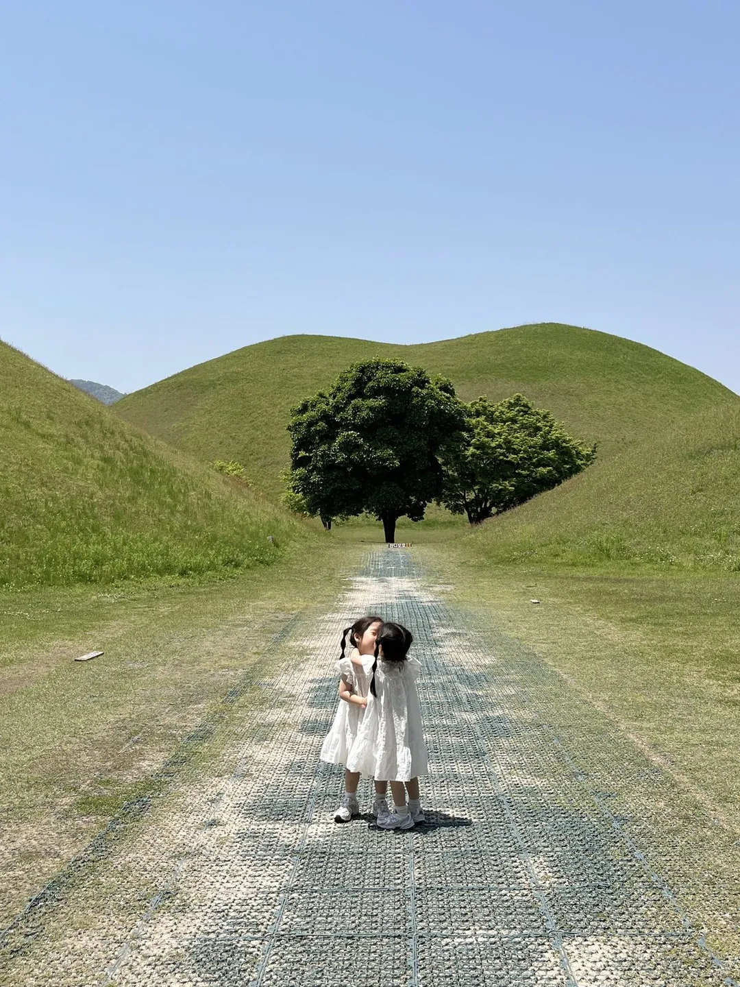 慶州大陵苑 写真 9