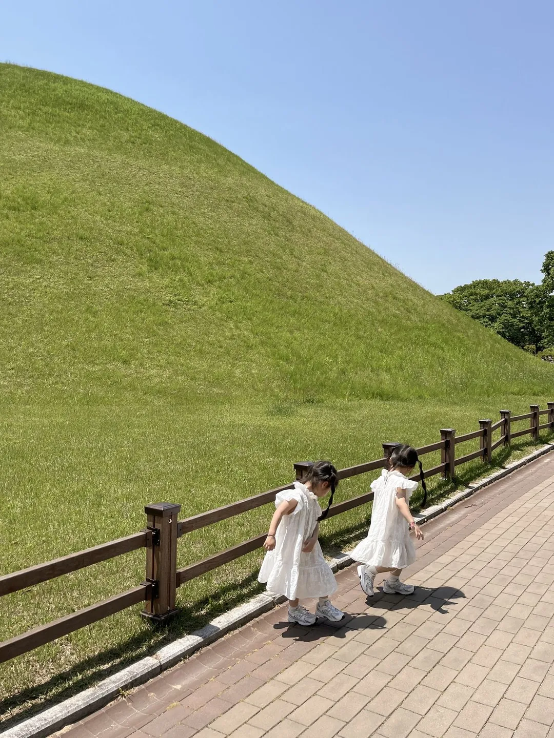 慶州大陵苑 写真 10